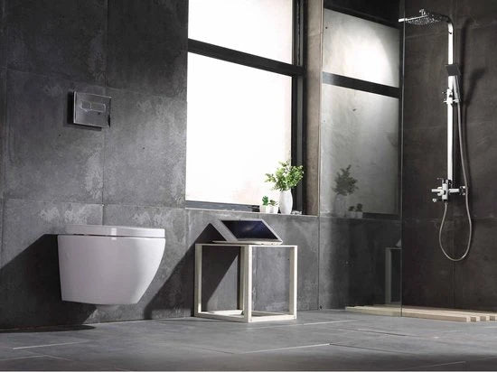 Hangend rimless toilet - Alaska